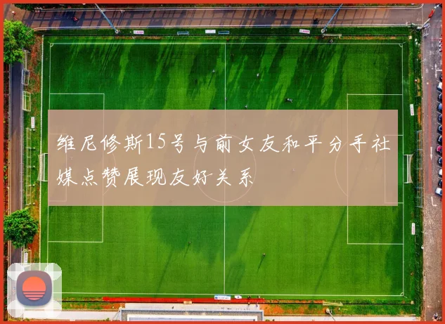 维尼修斯15号与前女友和平分手社媒点赞展现友好关系